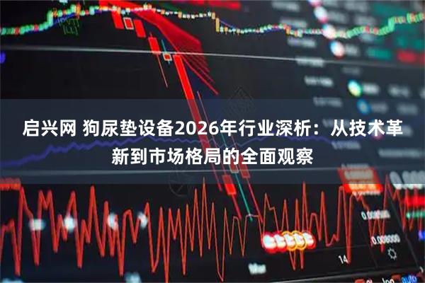 启兴网 狗尿垫设备2026年行业深析：从技术革新到市场格局的全面观察