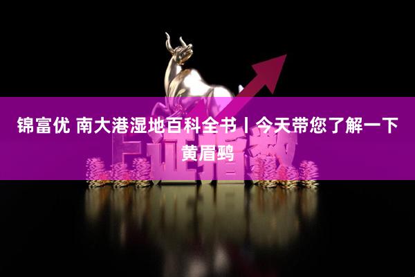 锦富优 南大港湿地百科全书丨今天带您了解一下黄眉鹀