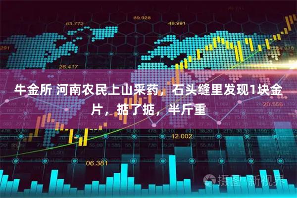 牛金所 河南农民上山采药，石头缝里发现1块金片，掂了掂，半斤重