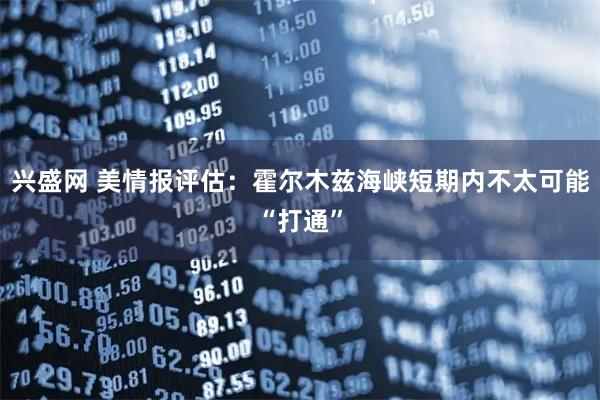 兴盛网 美情报评估：霍尔木兹海峡短期内不太可能“打通”