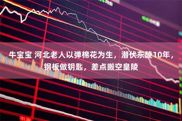牛宝宝 河北老人以弹棉花为生，潜伏东陵10年，钢板做钥匙，差点搬空皇陵