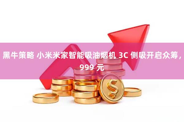 黑牛策略 小米米家智能吸油烟机 3C 侧吸开启众筹，999 元