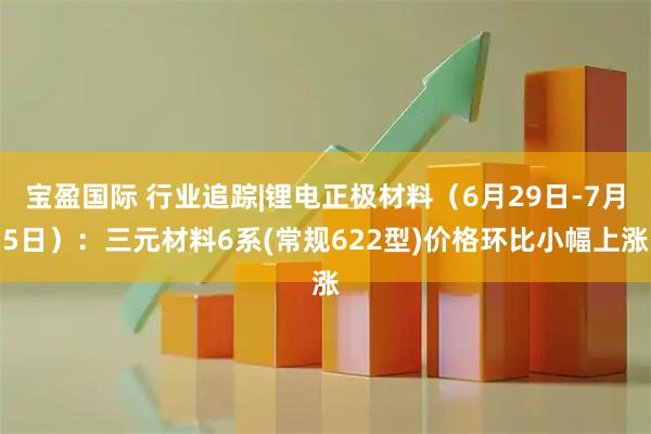 宝盈国际 行业追踪|锂电正极材料（6月29日-7月5日）：三元材料6系(常规622型)价格环比小幅上涨