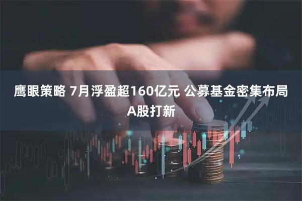 鹰眼策略 7月浮盈超160亿元 公募基金密集布局A股打新