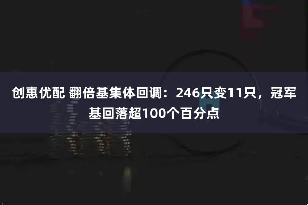 创惠优配 翻倍基集体回调：246只变11只，冠军基回落超100个百分点