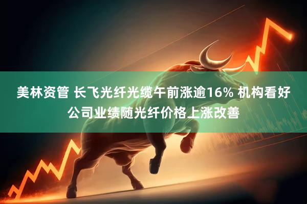 美林资管 长飞光纤光缆午前涨逾16% 机构看好公司业绩随光纤价格上涨改善