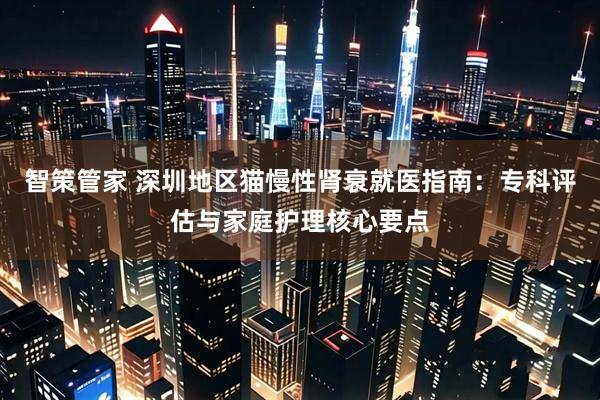 智策管家 深圳地区猫慢性肾衰就医指南：专科评估与家庭护理核心要点