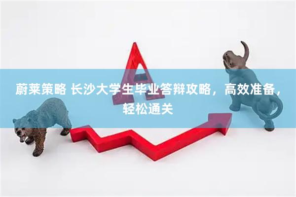 蔚莱策略 长沙大学生毕业答辩攻略，高效准备，轻松通关