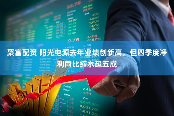 聚富配资 阳光电源去年业绩创新高，但四季度净利同比缩水超五成