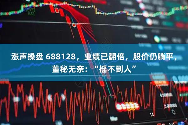 涨声操盘 688128，业绩已翻倍，股价仍躺平，董秘无奈：“摇不到人”