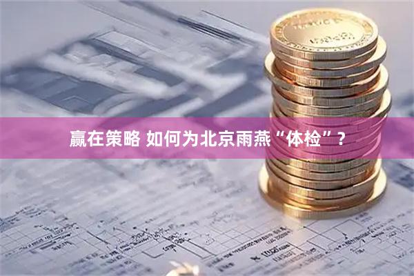 赢在策略 如何为北京雨燕“体检”？