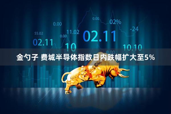 金勺子 费城半导体指数日内跌幅扩大至5%