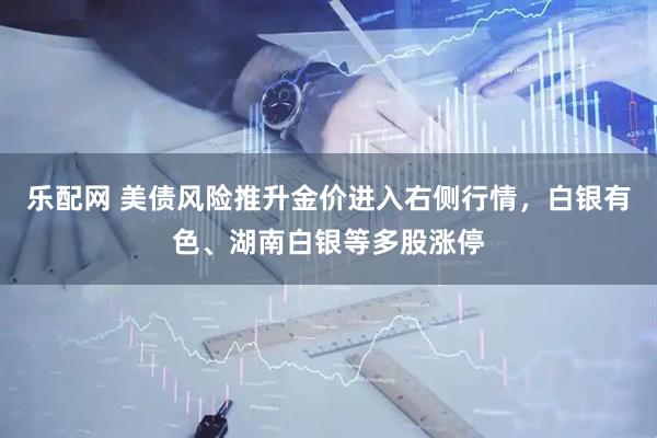 乐配网 美债风险推升金价进入右侧行情，白银有色、湖南白银等多股涨停